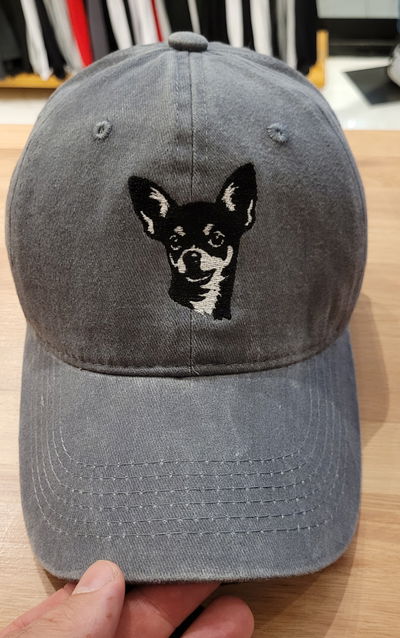 Gorra gabardina gris gastado Perro Chihuahua