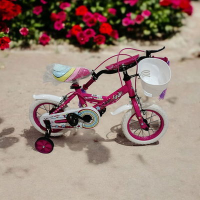 BICICLETA JORDAN R12 ROSA C/ CANASTO