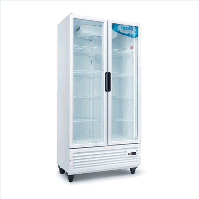 HELADERA EXHIBIDORA 750 LTS DOBLE PUERTA TEORA