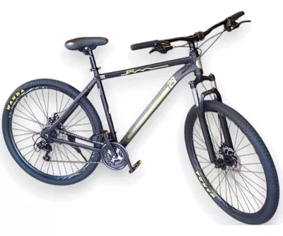 BICICLETA MTB R29 21V 9001 FIAT GRIS T.M