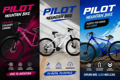 PROMOCIÓN X 3 BICICLETA MTB R29 PILOT 