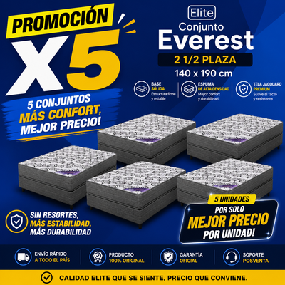 PROMOCIÓN X 5 CONJUNTO SOMMIER EVEREST 2 1/2 PALZA 140 X 190