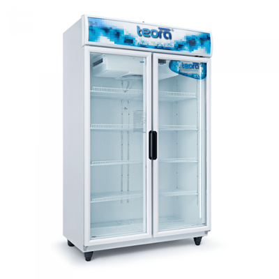 HELADERA EXHIBIDORA 750 LTS DOBLE PUERTA TEORA