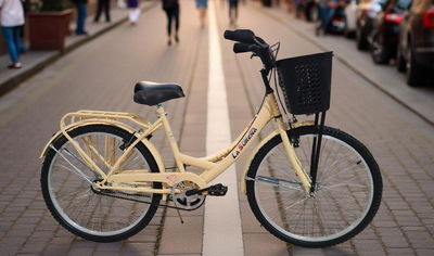 BICICLETA PLAYERA LA SUREÑA R26 con canasto