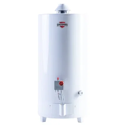 TERMOTANQUE SHERMAN MULTIGAS 80 LTS CARGA SUPERIOR