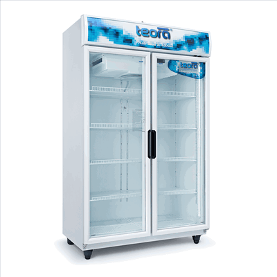 HELADERA EXHIBIDORA 950 LTS DOBLE PUERTA TEORA