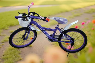 BICICLETA JORDAN R20 LILA C/CANASTO