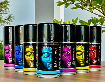 AEROSOL AROMANZA PACK X 12 UNIDADES AROMAS SURTIDOS