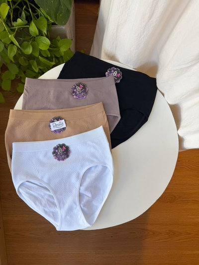 Bombacha Universal de Microfibra Sin Costuras