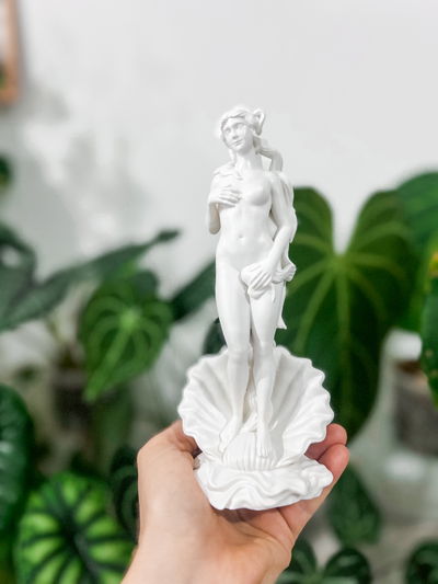 Venus de Botticelli (El Nacimiento de Venus)