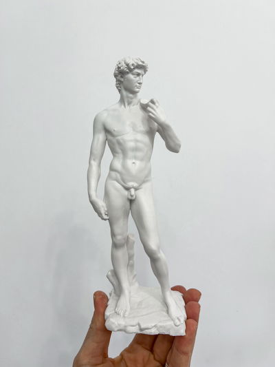 Figura del David Miguel Ángel en 20cm