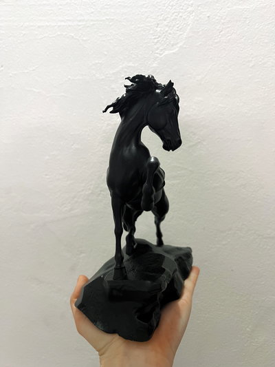 Caballo sobre roca