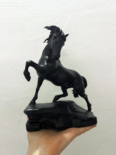 Caballo sobre roca