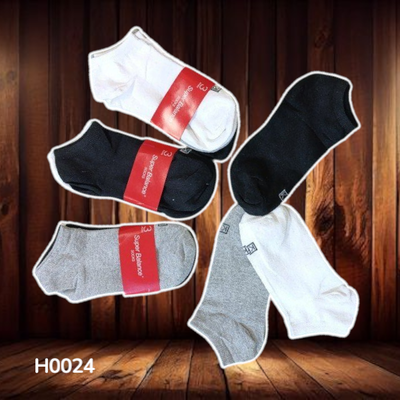 H0024