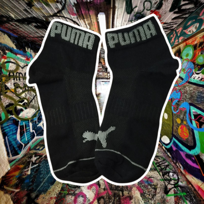 Puma negro con gris