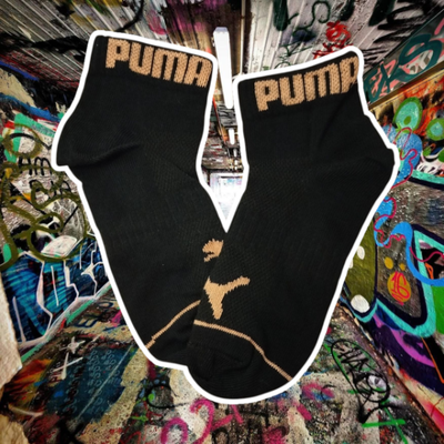 Puma negro con ocre