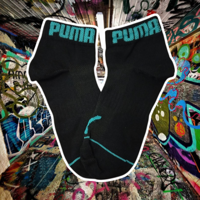 Puma negro con turqueza