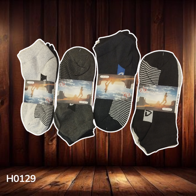 H0129