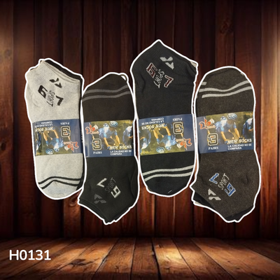 H0131