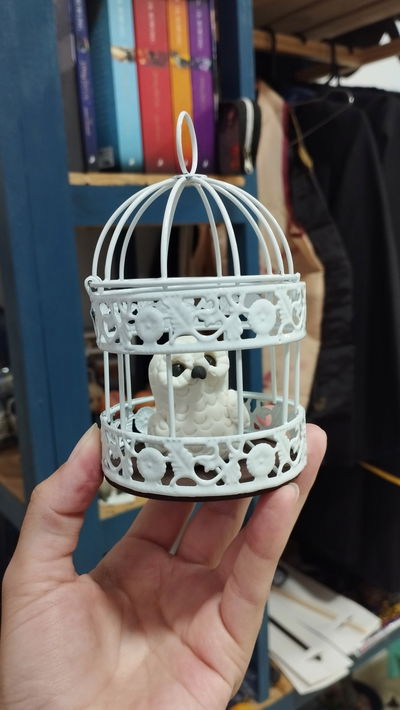 Lechuza en jaula blanca 