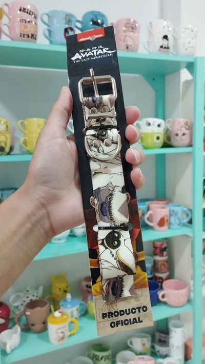 Collar para mascota de Appa - Avatar 