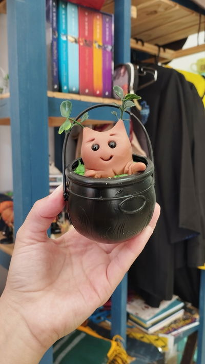 Mandrágora en maceta - Harry Potter 