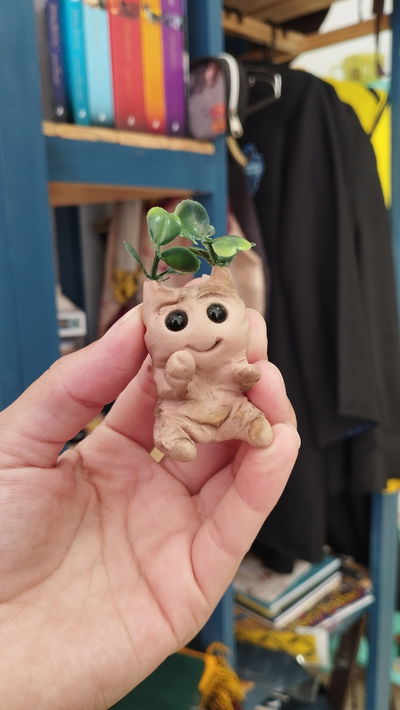 Mini mandrágora - Harry Potter 