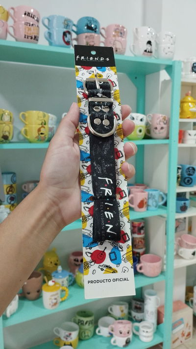 Collar para mascota de Friends 