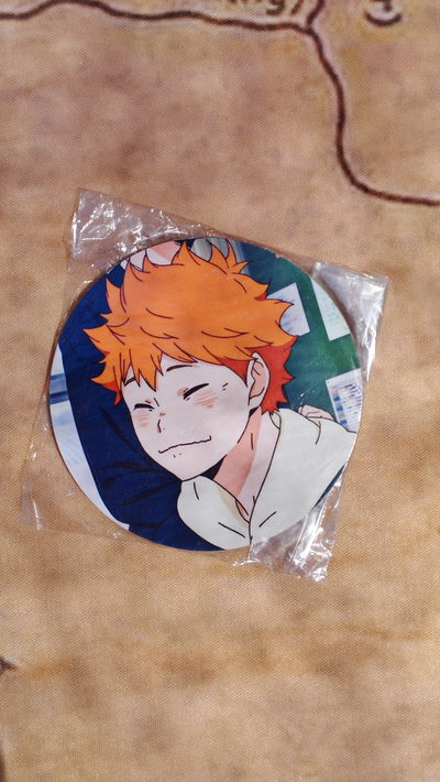 Posavaso de Hinata - Haikyu 