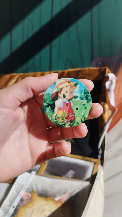 Pin de mi vecino Totoro 