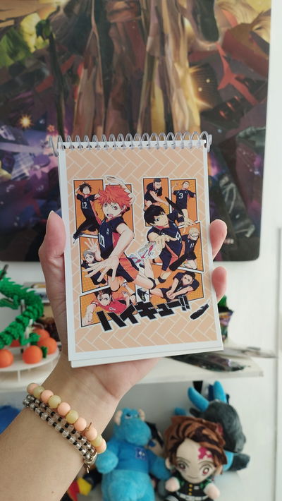 Anotador de Haikyu