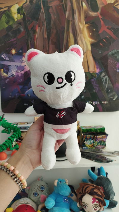 Peluche de Hyun Jin de Stray Kids- K-pop 