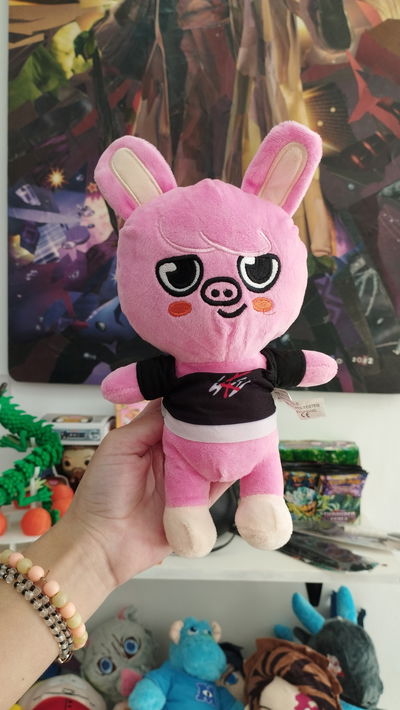 Peluche de Chang Bin de Stray Kids- K-pop 