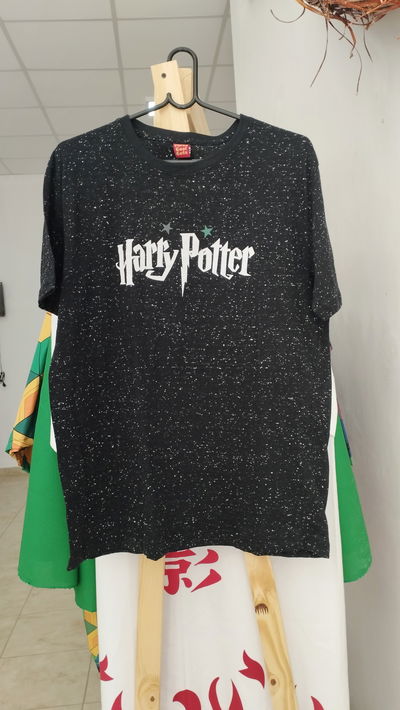 Remera de Harry Potter 