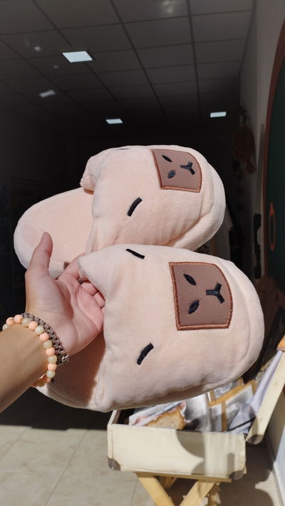 Pantuflas de capibara - carpincho