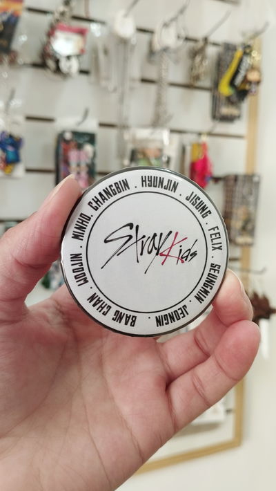 Pin Stray Kids 