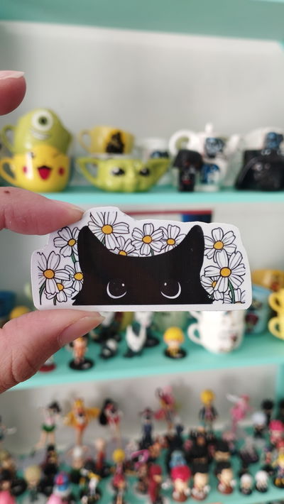 Iman de gato
