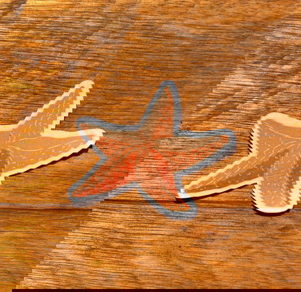 Estrella de Mar