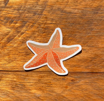 Estrella de Mar