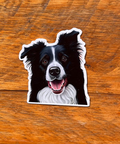Collie 