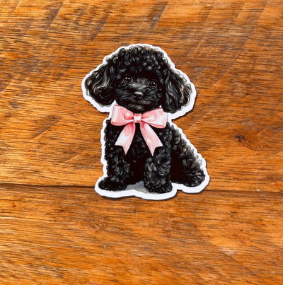 Caniche Negro con Moños 