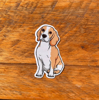 Beagle 