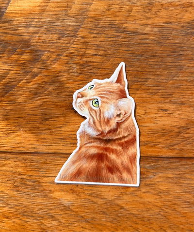 Gato Naranja