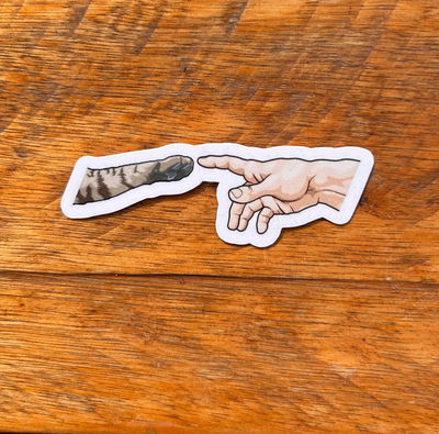 Pata de gato y Mano 