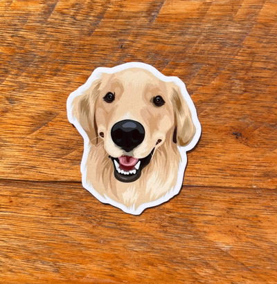 Golden Retriever 