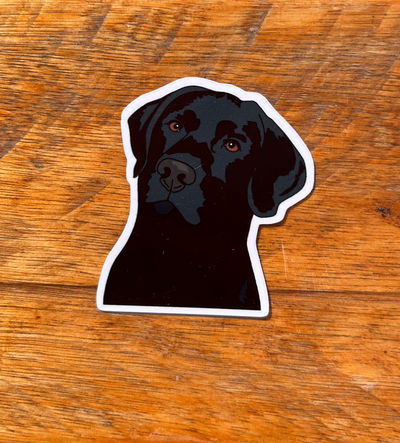 Labrador 