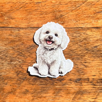 Caniche Blanco 