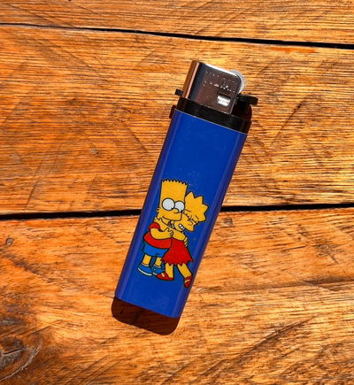 Bart y lisa 