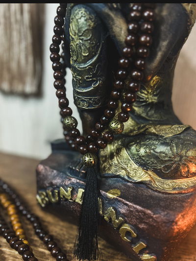 Japa mala madera - Raíz