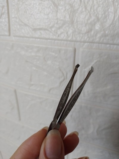 Pinza 
